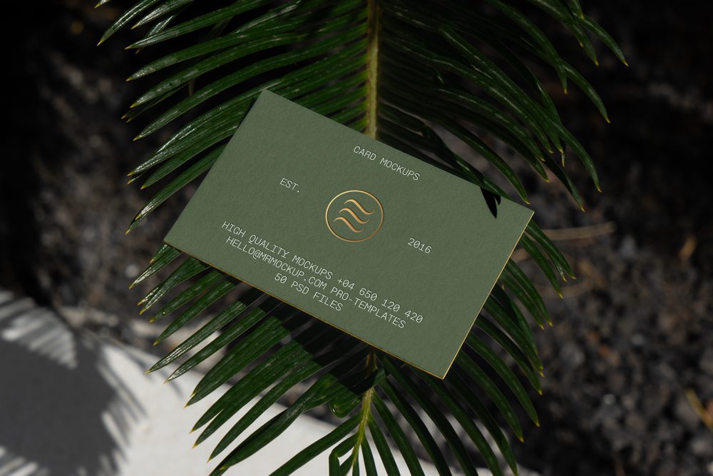 View from above, outdoor business card mockup with green and gold design colors, laying on the coniferous branch.