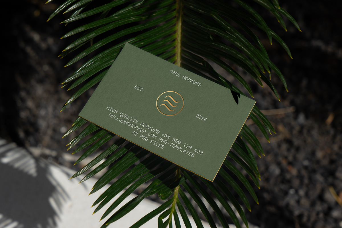 View from above, outdoor business card mockup with green and gold design colors, laying on the coniferous branch.