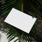 View from above, blank outdoor business card mockup laying on the coniferous branch.