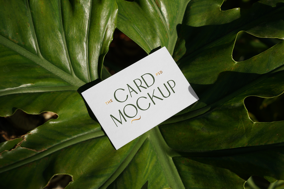 View from above, single outdoor business card mockup with green and gold colors, serif typography design, laying lies on the leaves of a monstera.