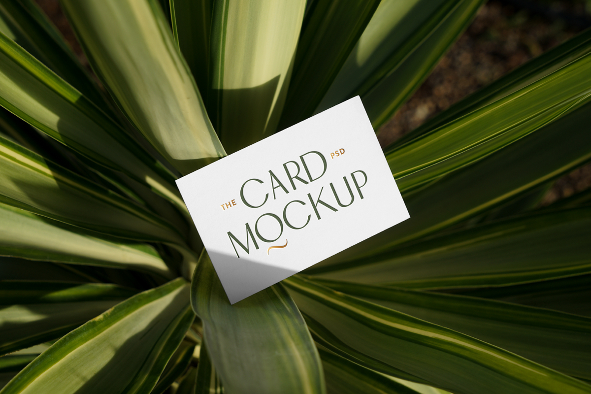 View from above, single outdoor business card mockup with green and gold colors, serif typography design, laying lies on the leaves.