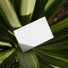 View from above, a single blank outdoor business card mockup laying lies on the leaves.