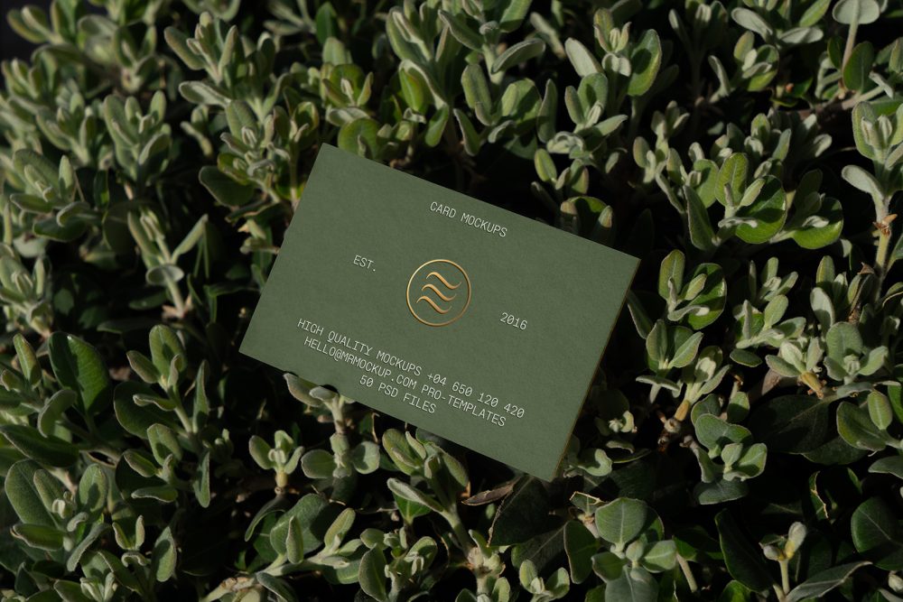 View from above, single outdoor business card mockup with green and gold colors, serif typography design, laying between the leaves.