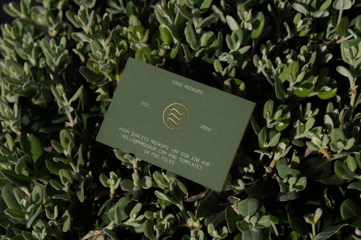 View from above, single outdoor business card mockup with green and gold colors, serif typography design, laying between the leaves.
