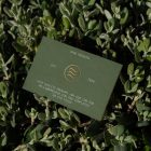 View from above, single outdoor business card mockup with green and gold colors, serif typography design, laying between the leaves.