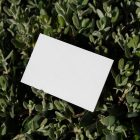 View from above, a single blank outdoor business card mockup laying between the leaves.
