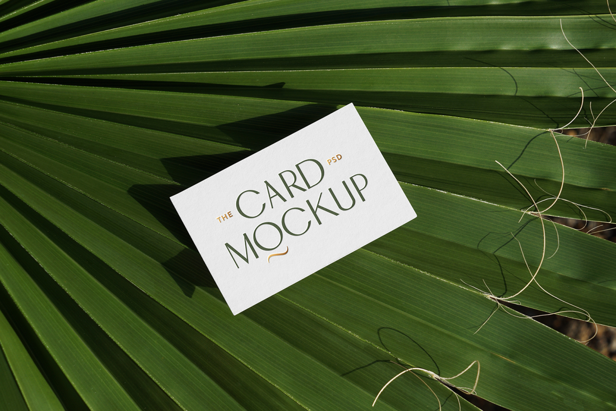 View from above, single outdoor business card mockup with green and gold colors, serif typography design, laying on the big leave.
