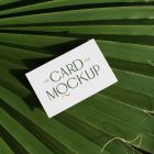 View from above, single outdoor business card mockup with green and gold colors, serif typography design, laying on the big leave.