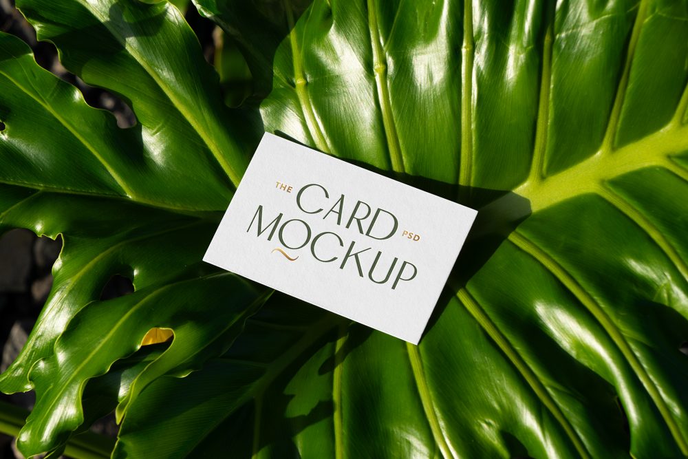 View from above, single outdoor business card mockup with green and gold colors, serif typography design, laying lies on the leaves of a monstera.
