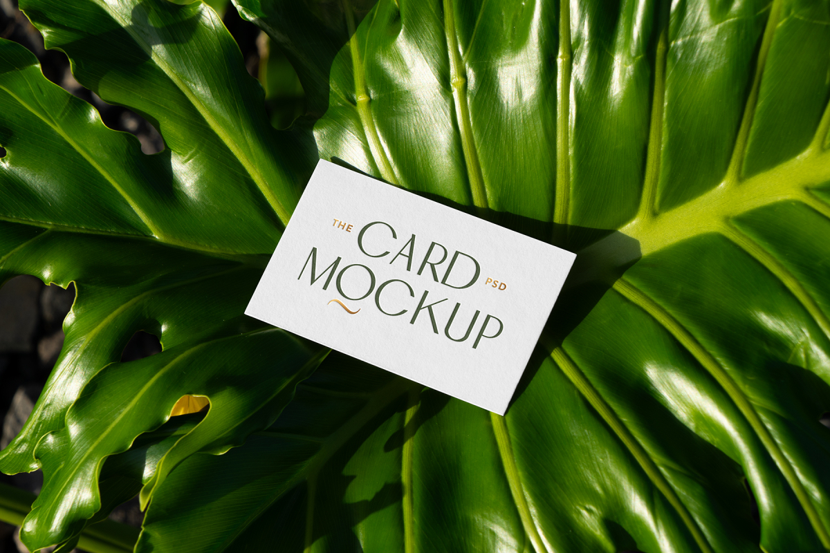 View from above, single outdoor business card mockup with green and gold colors, serif typography design, laying lies on the leaves of a monstera.