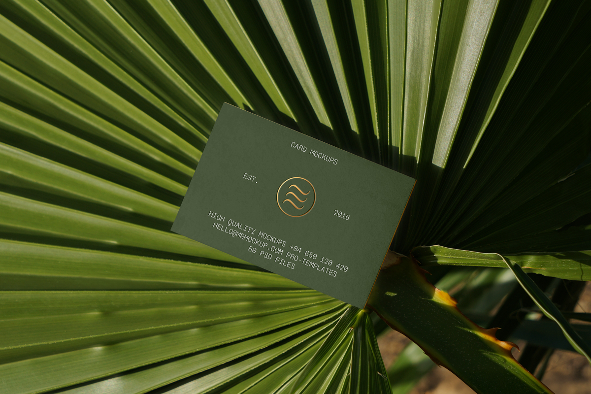 View from above, single outdoor business card mockup with green and gold colors, serif typography design, laying on the big leave.
