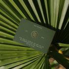 View from above, single outdoor business card mockup with green and gold colors, serif typography design, laying on the big leave.