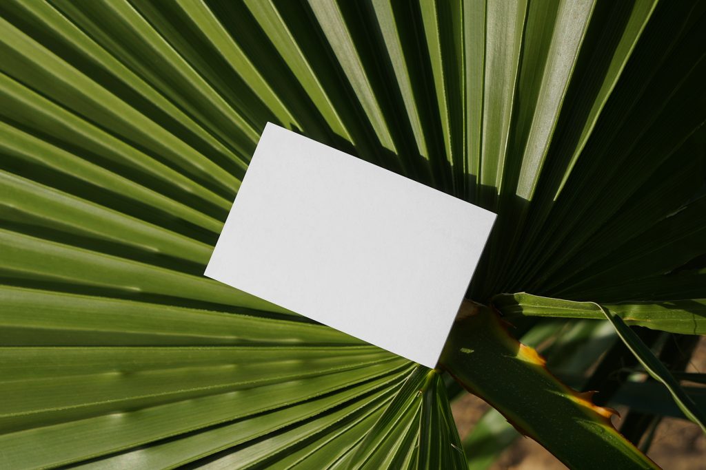 View from above, a single blank outdoor business card mockup laying on the big leave.