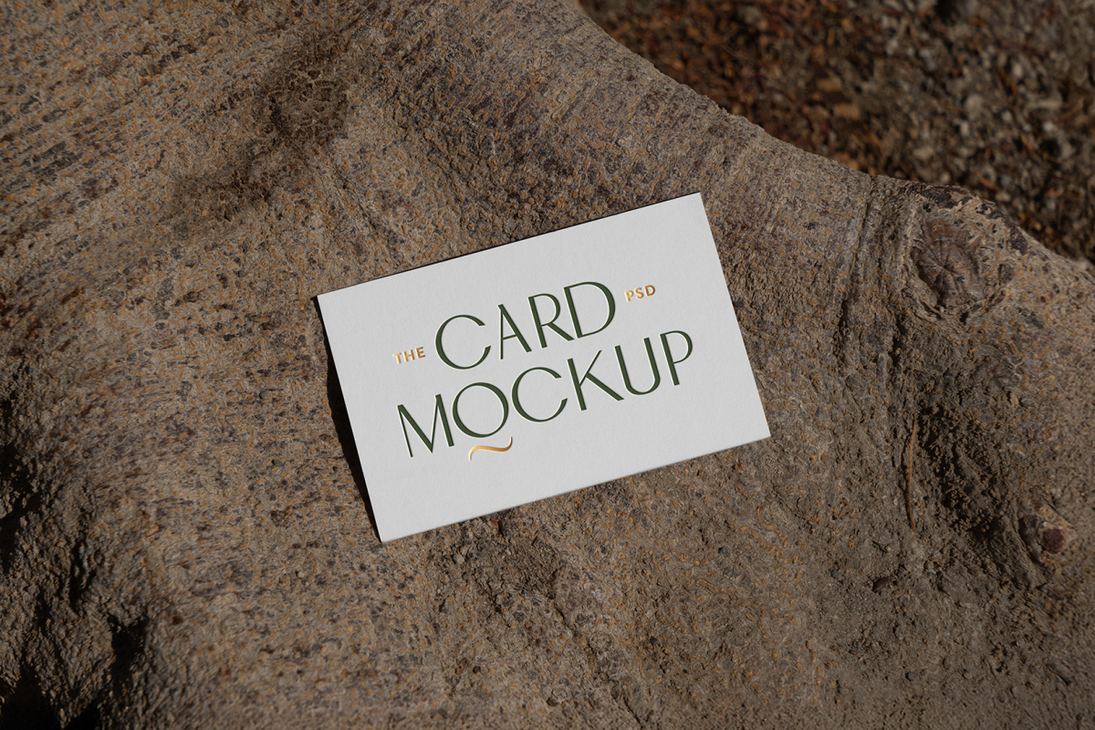 View from above, single outdoor business card mockup with green and gold colors, serif typography design, laying lies on a large root.