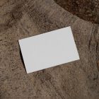 View from above, a single blank outdoor business card mockup laying lies on a large root.