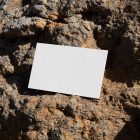 View from above, a single blank outdoor business card mockup laying on massive stone.