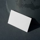 Front view, a single blank outdoor business card mockup leans against a pole.