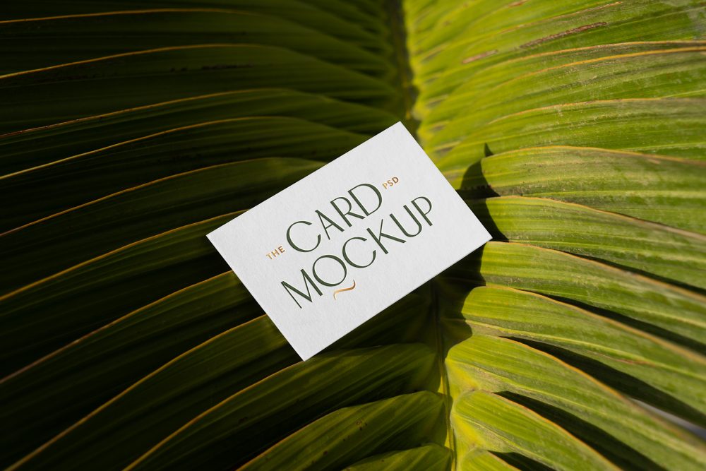View from above, single outdoor business card mockup with green and gold colors, serif typography design, laying on the big leave.