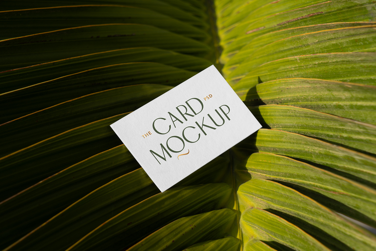 View from above, single outdoor business card mockup with green and gold colors, serif typography design, laying on the big leave.