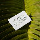 View from above, single outdoor business card mockup with green and gold colors, serif typography design, laying on the big leave.