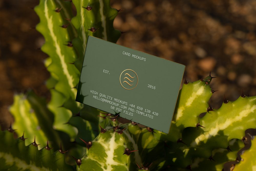 Front view, single outdoor business card mockup with green and gold colors, serif typography design, laying on the cactus.
