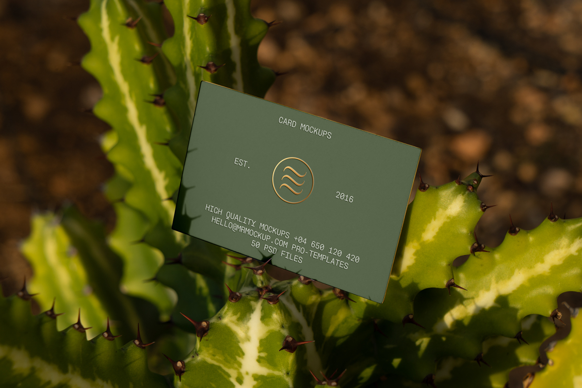 Front view, single outdoor business card mockup with green and gold colors, serif typography design, laying on the cactus.