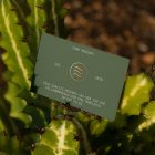 Front view, single outdoor business card mockup with green and gold colors, serif typography design, laying on the cactus.