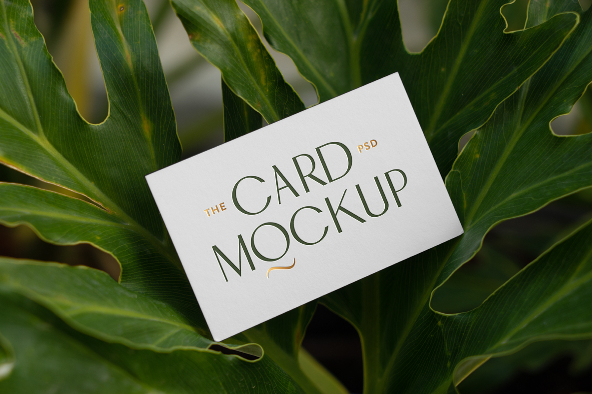 View from above, single outdoor business card mockup with green and gold colors, serif typography design, laying lies on the leaves of a monstera.