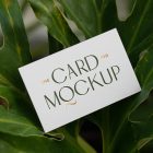 View from above, single outdoor business card mockup with green and gold colors, serif typography design, laying lies on the leaves of a monstera.
