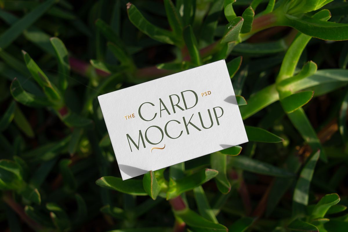 Front view, single outdoor business card mockup with green and gold colors, serif typography design, laying between lies.