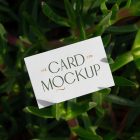 Front view, single outdoor business card mockup with green and gold colors, serif typography design, laying between lies.