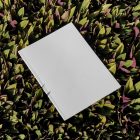 View from above of a white outdoor magazine mockup lying on succulent flowers.