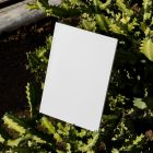 Front view, of a white outdoor magazine mockup standing on and be between the cactus.