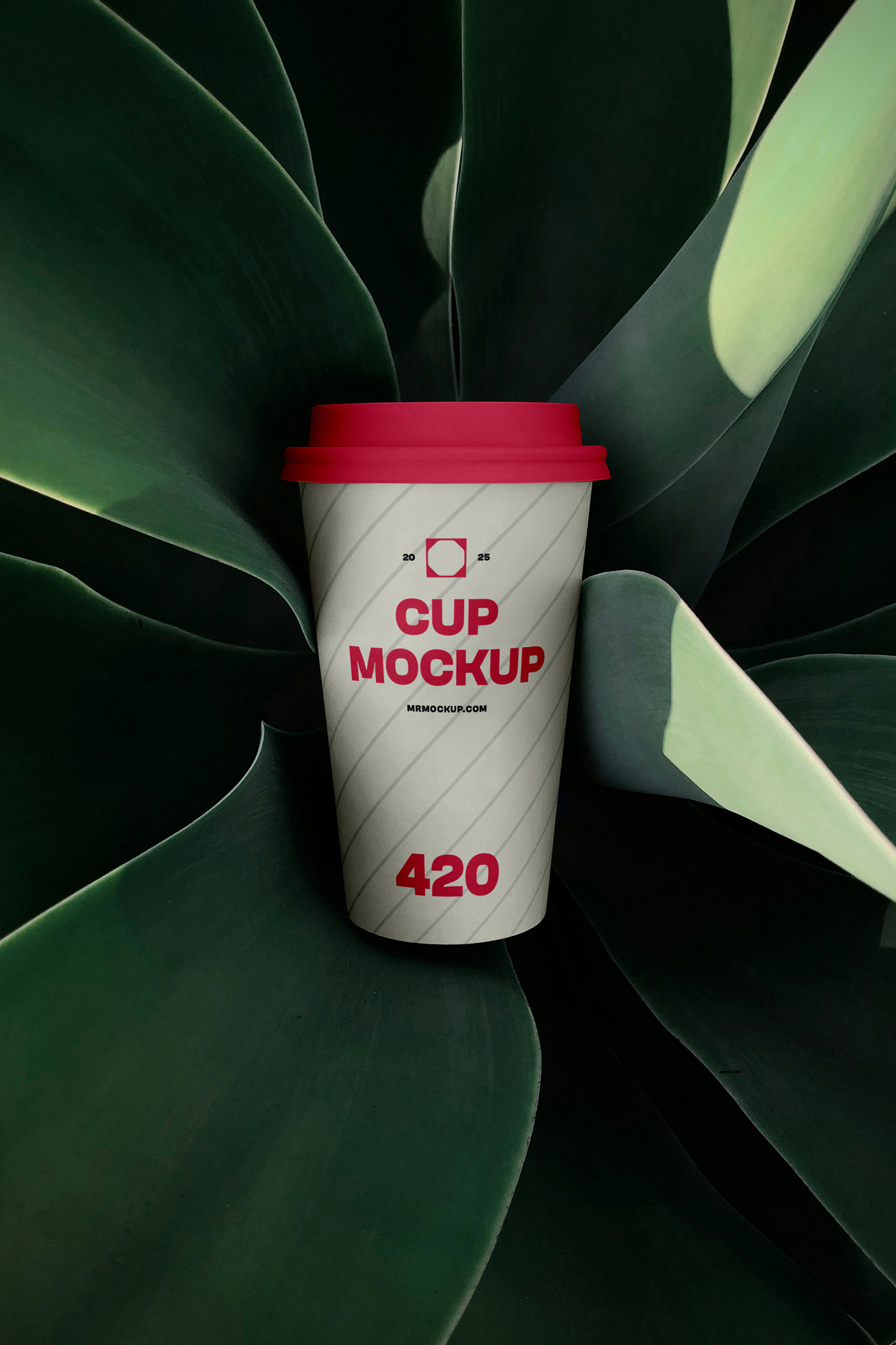 View from above, coffee cup mockup with strong, simple typography design surrounded by plants.