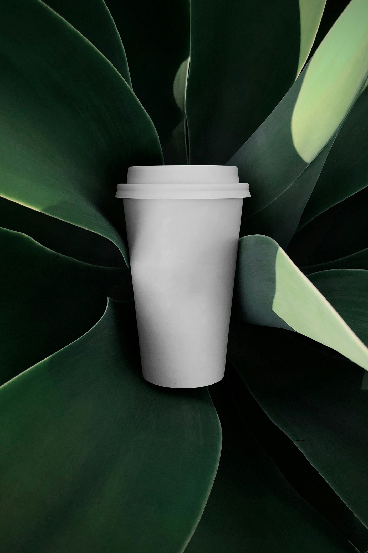 View from above, a white coffee cup mockup surrounded by plants.