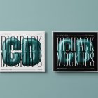 Viewed from above, CD Digipack Mockups presents two white disc packages with nice white and black serif typography and 3D graphics lying on the green background.
