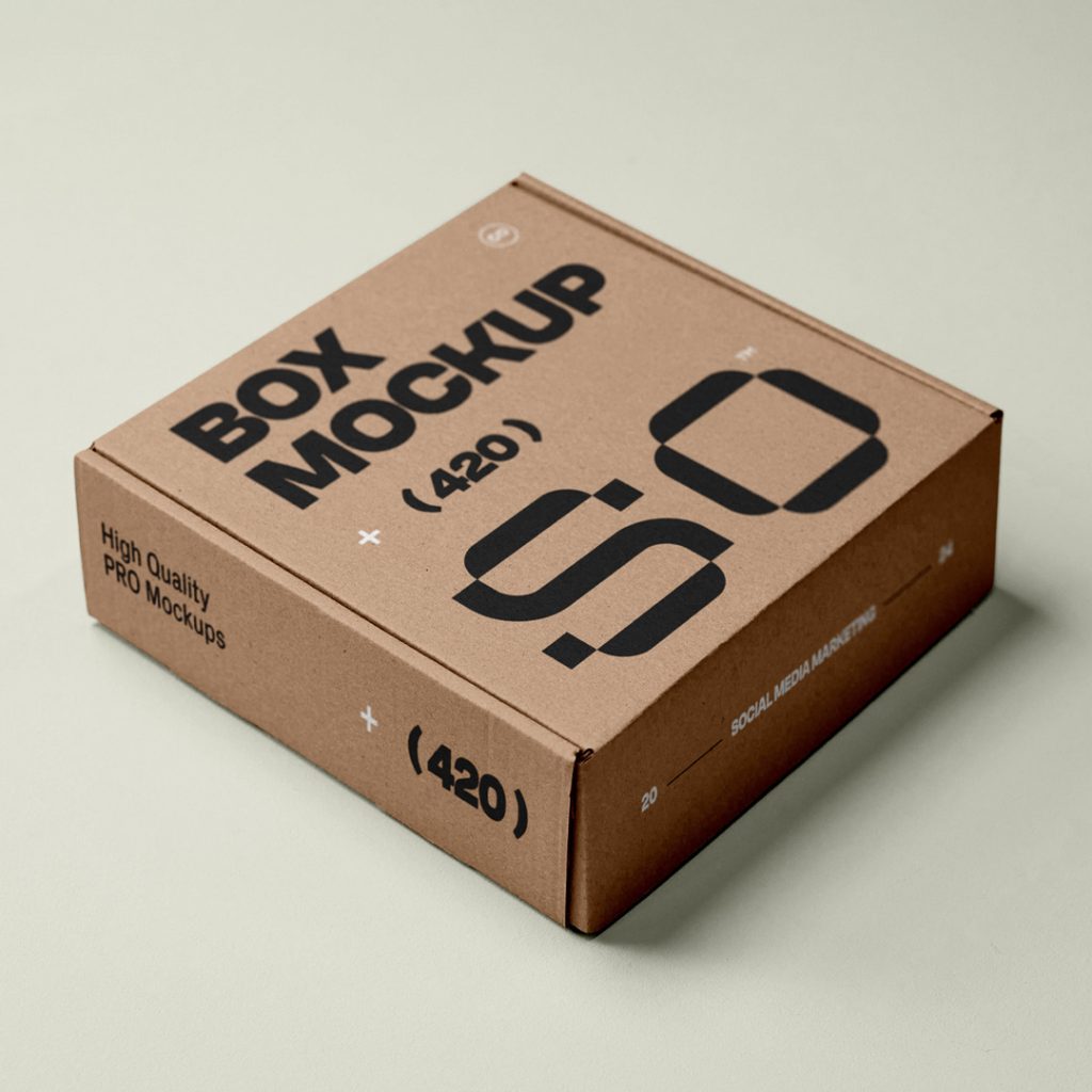 View from above of a craft box mockup with a white and black strong typography design lying on the pastel green background.