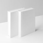 Front view, two white hardcover book mockups standing on the white background.